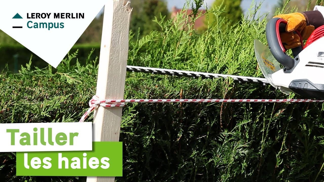 Miniature — Comment tailler les haies ? Leroy Merlin